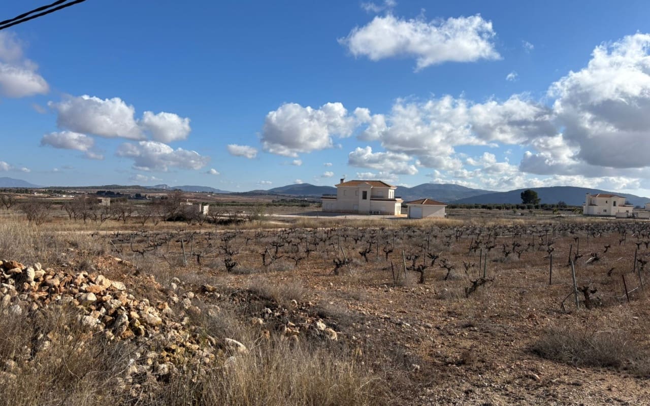 Terreno/Finca Rústica en Pinoso en venta - 70.000 € (Ref: 9548868)