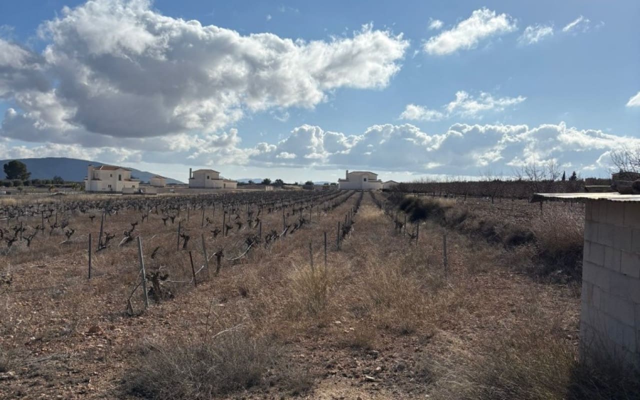 Terreno/Finca Rústica en Pinoso en venta - 70.000 € (Ref: 9548868)