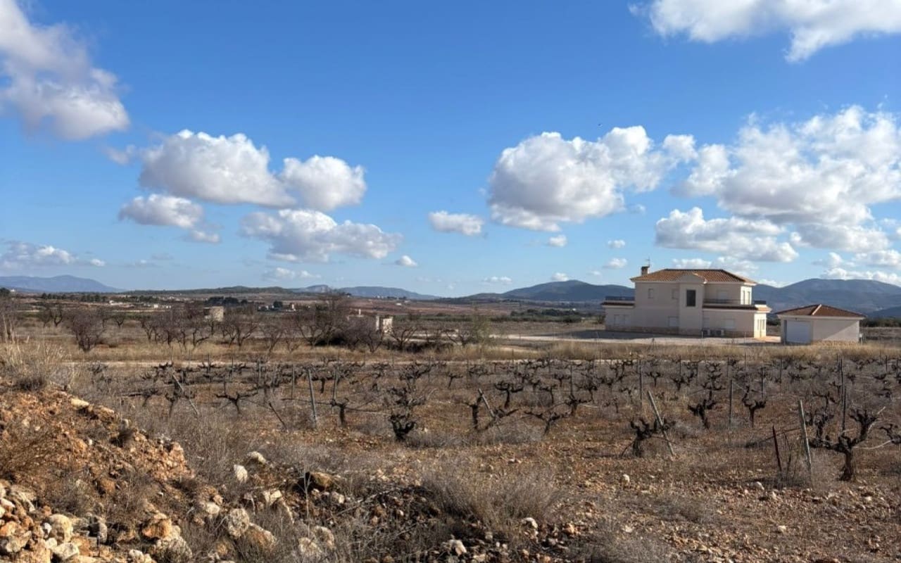 Terreno/Finca Rústica en Pinoso en venta - 70.000 € (Ref: 9548868)