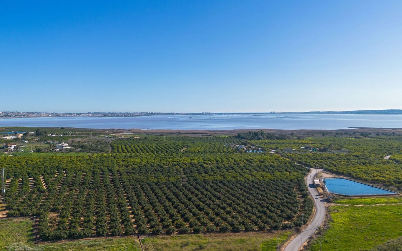 3 quarto Apartamento para venda em Los Montesinos - 245 900 € (Ref: 9572133)