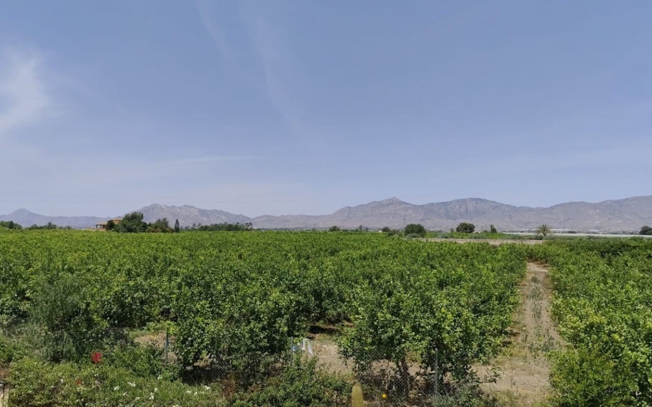 3 chambre Finca/Maison de Campagne à vendre à Albatera avec piscine - 330 000 € (Ref: 9596458)