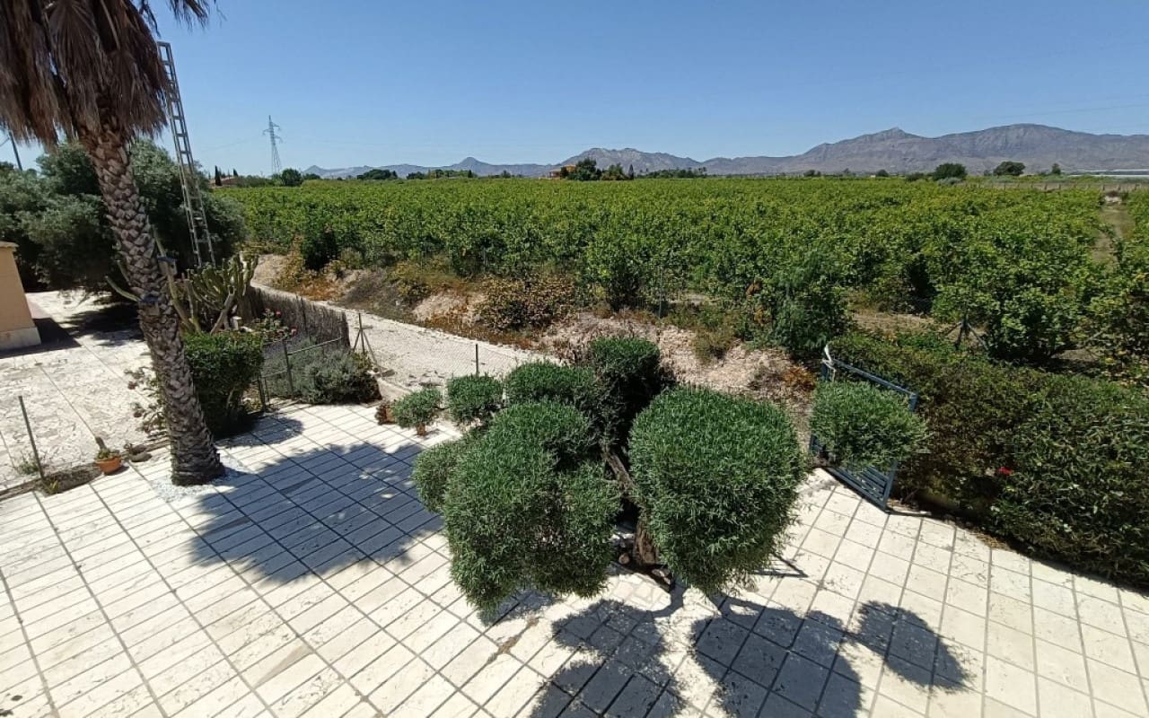 3 chambre Finca/Maison de Campagne à vendre à Albatera avec piscine - 330 000 € (Ref: 9596458)