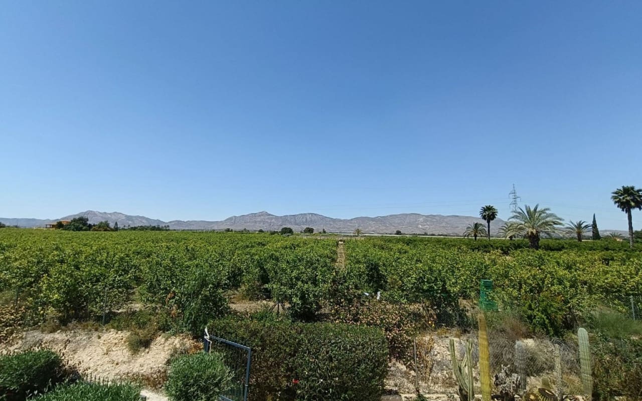 3 chambre Finca/Maison de Campagne à vendre à Albatera avec piscine - 330 000 € (Ref: 9596458)