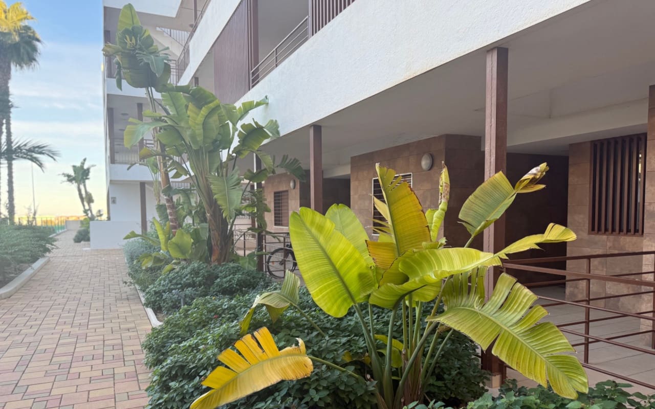 2 bedroom Apartment for sale in Cabo Roig with pool - € 229,000 (Ref: 9602997)