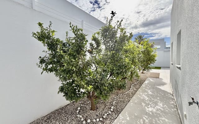 3 makuuhuone Huvila myytävänä paikassa Benijófar - 569 500 € (Ref: 9626314)