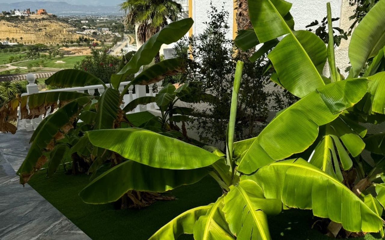 8 soverom Villa til salgs i Ciudad Quesada med svømmebasseng - € 1 499 999 (Ref: 9805165)