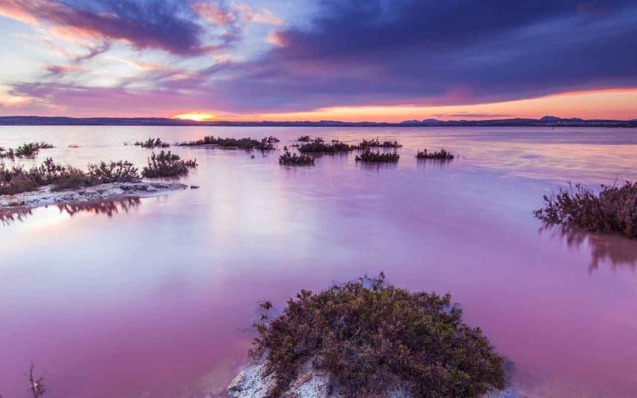 2 makuuhuone Huoneisto myytävänä paikassa La Mata mukana uima-altaan - 320 000 € (Ref: 9805187)