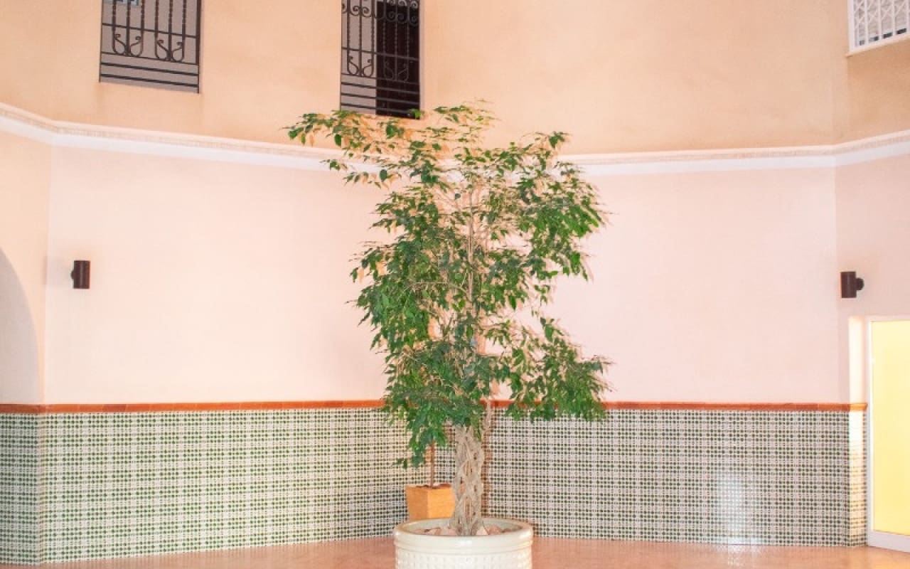 Apartamento de 3 habitaciones en Torrevieja en venta con piscina - 363.900 € (Ref: 9805190)