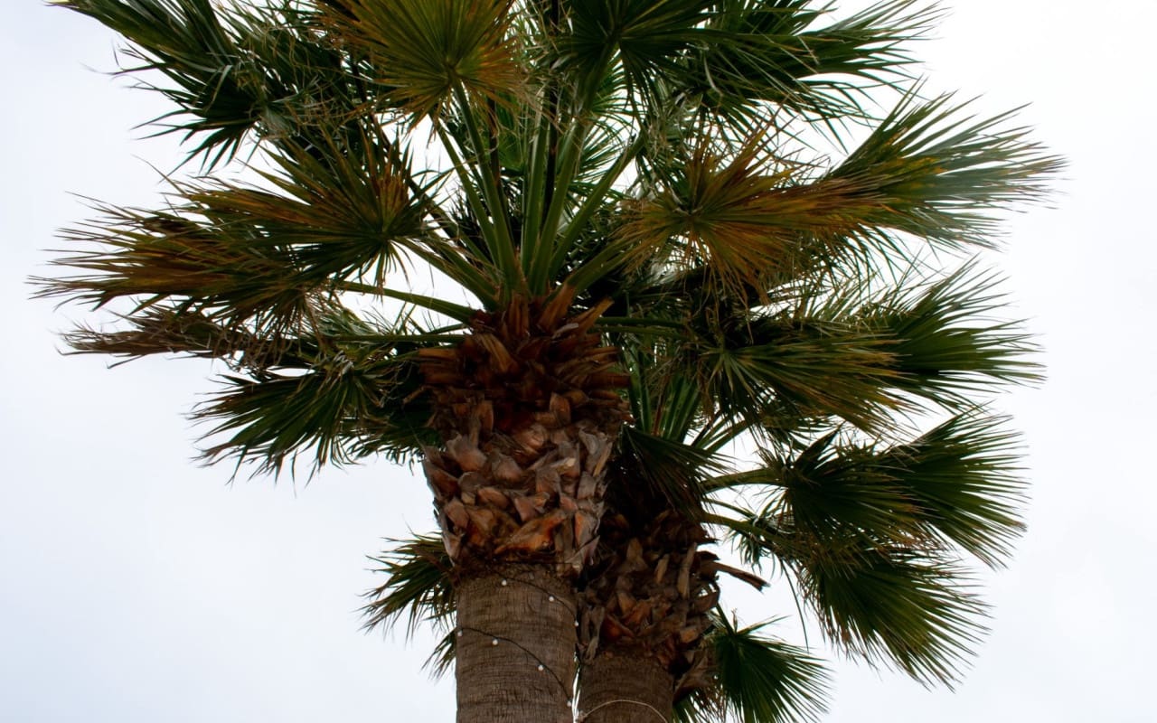 7 Zimmer Villa zu verkaufen in La Manga del Mar Menor mit Pool - 990.000 € (Ref: 9805550)