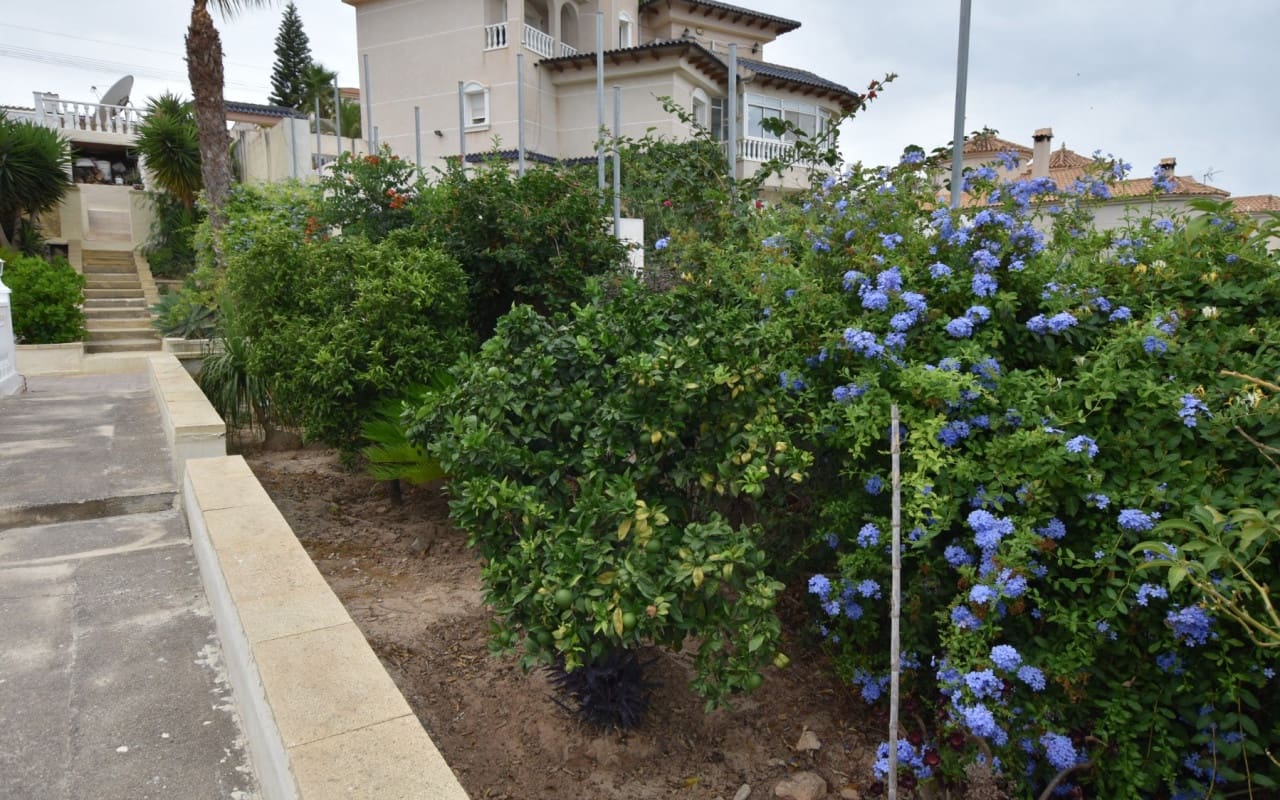 3 sypialnia Willa na sprzedaż w Algorfa z basenem - 599 990 € (Ref: 9876849)