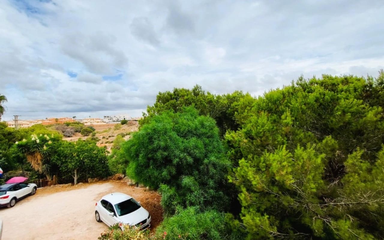 2 quarto Apartamento para venda em Playa Flamenca com piscina - 174 000 € (Ref: 9913744)