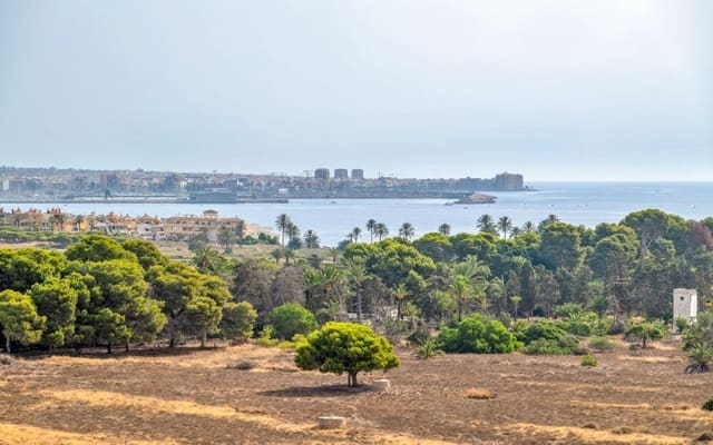 2 soveværelse Lejlighed til salg i Punta Prima, Torrevieja med swimmingpool - € 225.000 (Ref: 9977561)