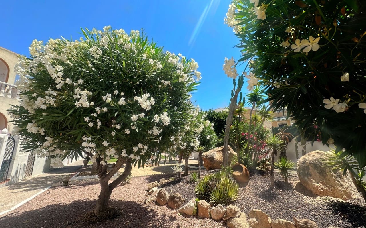 Casa de 1 habitación en La Mata en venta con piscina - 146.900 € (Ref: 9997264)