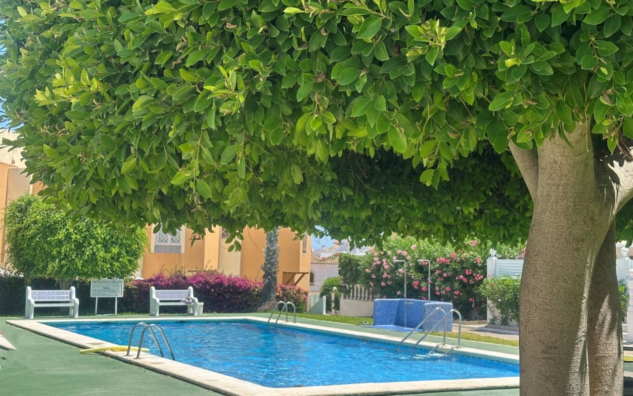 Casa de 1 habitación en La Mata en venta con piscina - 146.900 € (Ref: 9997264)