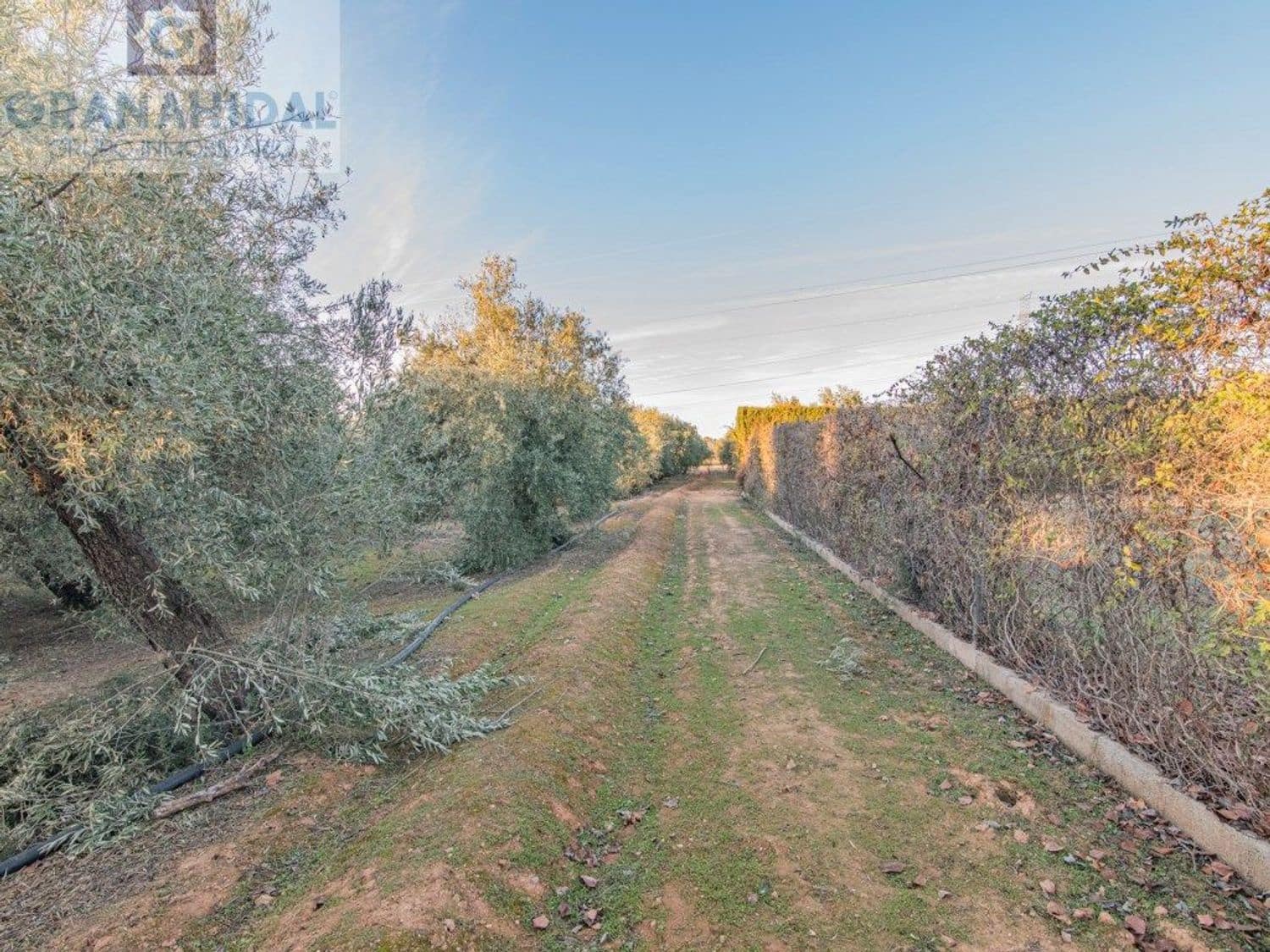 Ubebygd land til salgs i Albolote - € 165 000 (Ref: 9338402)