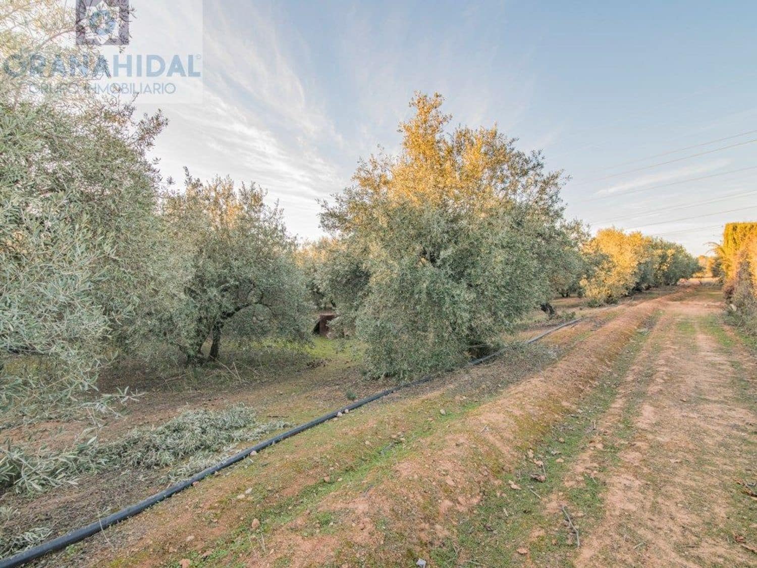 Ubebygd land til salgs i Albolote - € 165 000 (Ref: 9338402)