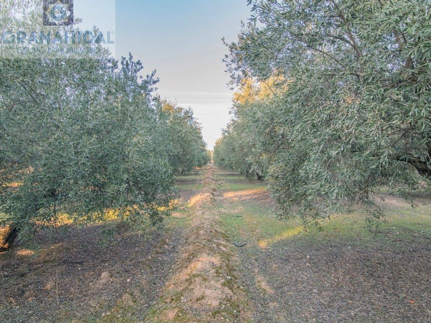 Ubebygd land til salgs i Albolote - € 165 000 (Ref: 9338402)