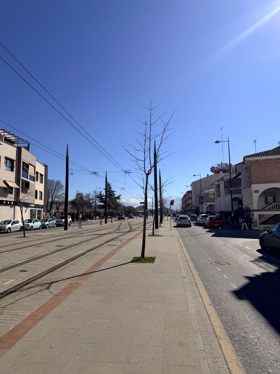 Commercial for sale in Albolote - € 173,000 (Ref: 9625817)