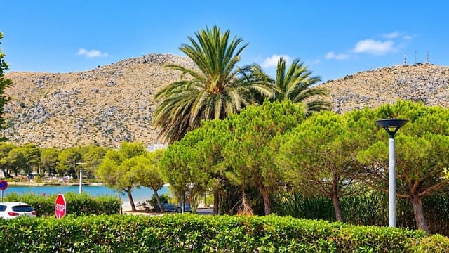 2 soveværelse Lejlighed til salg i Puerto de Alcudia, Alcúdia med swimmingpool - € 395.000 (Ref: 10168300)