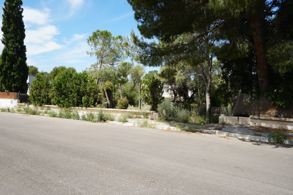 Undeveloped Land for sale in Mal Pas-Bon Aire - € 215,000 (Ref: 7101220)