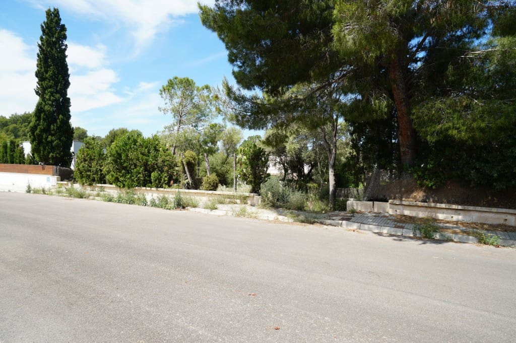 Terre non Aménagée à vendre à Mal Pas-Bon Aire - 250 000 € (Ref: 7101254)