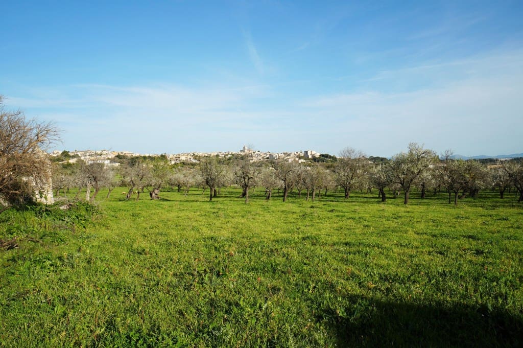 3 slaapkamer Finca/Landhuis te koop in Campanet - € 740.000 (Ref: 7101292)