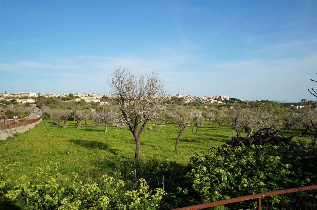 3 slaapkamer Finca/Landhuis te koop in Campanet - € 740.000 (Ref: 7101292)