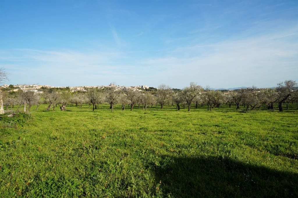 3 slaapkamer Finca/Landhuis te koop in Campanet - € 740.000 (Ref: 7101292)