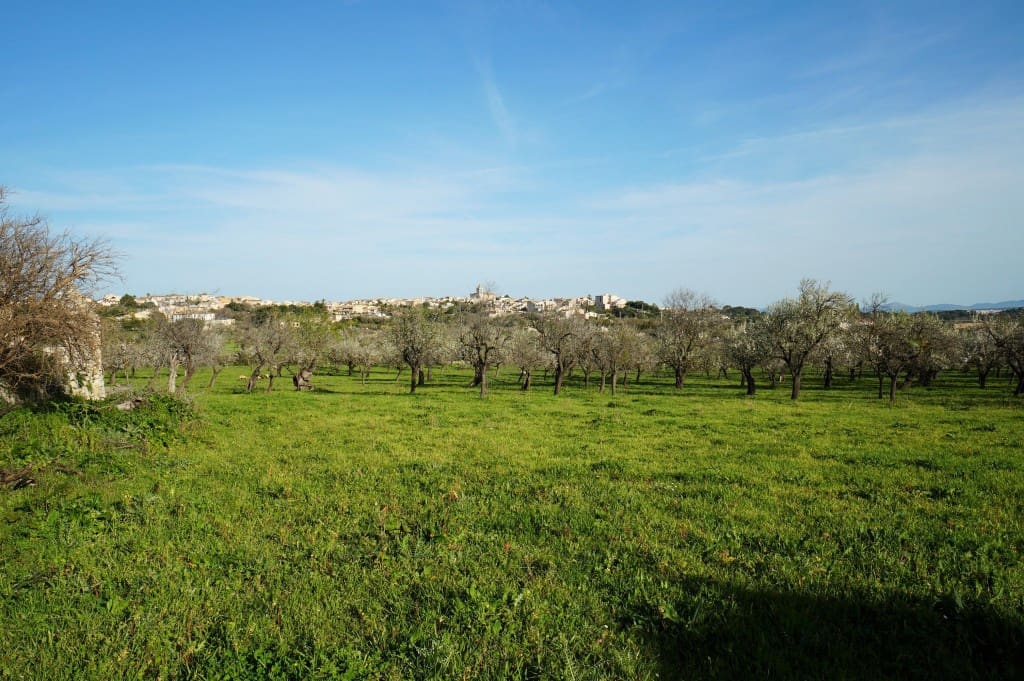 3 slaapkamer Finca/Landhuis te koop in Campanet - € 740.000 (Ref: 7101292)