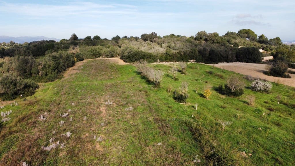 Grunde uden byggetilladelser til salg i Muro - € 279.000 (Ref: 7300128)