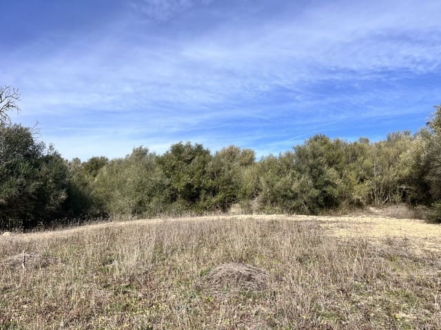 Undeveloped Land for sale in Muro - € 279,000 (Ref: 7300128)