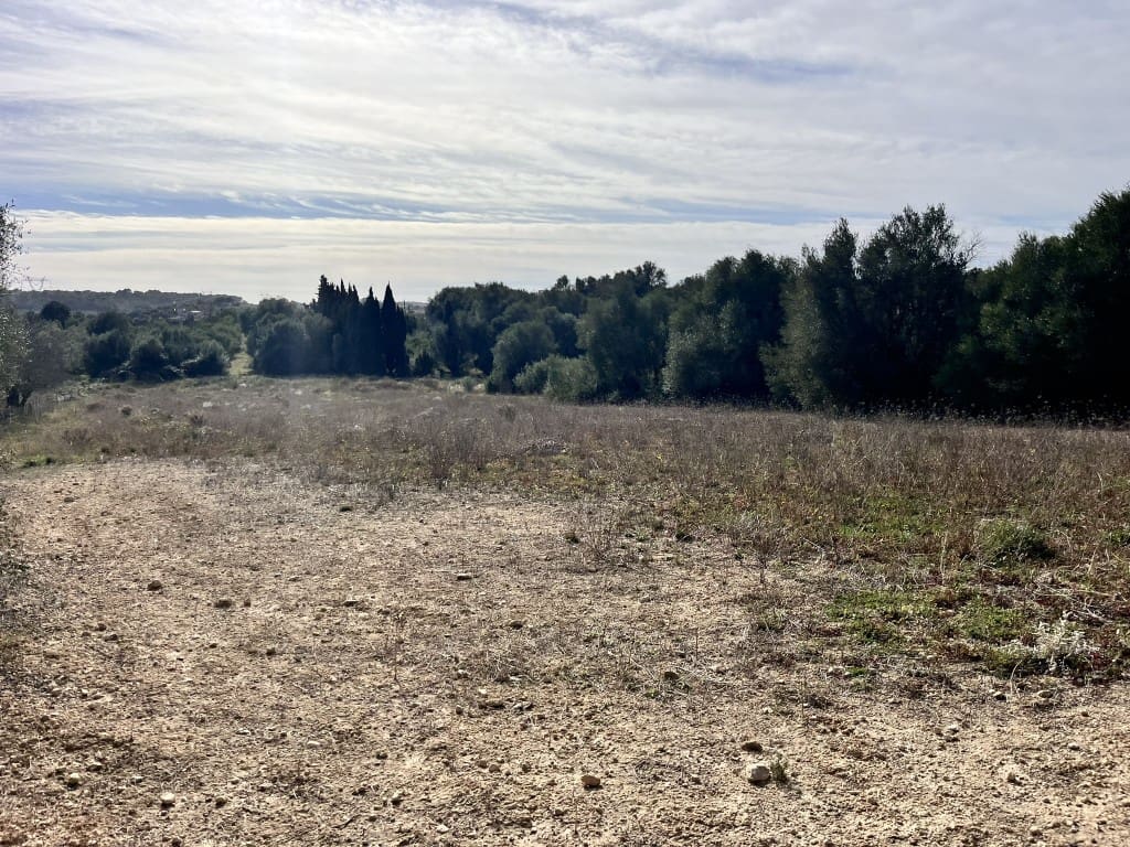 Grunde uden byggetilladelser til salg i Muro - € 279.000 (Ref: 7300128)