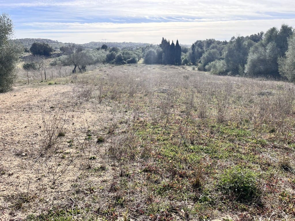 Grunde uden byggetilladelser til salg i Muro - € 279.000 (Ref: 7300128)