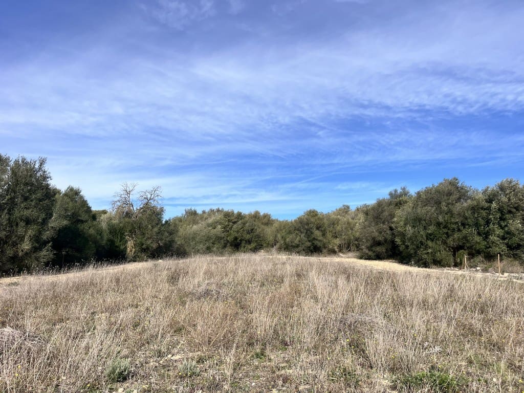 Grunde uden byggetilladelser til salg i Muro - € 279.000 (Ref: 7300128)