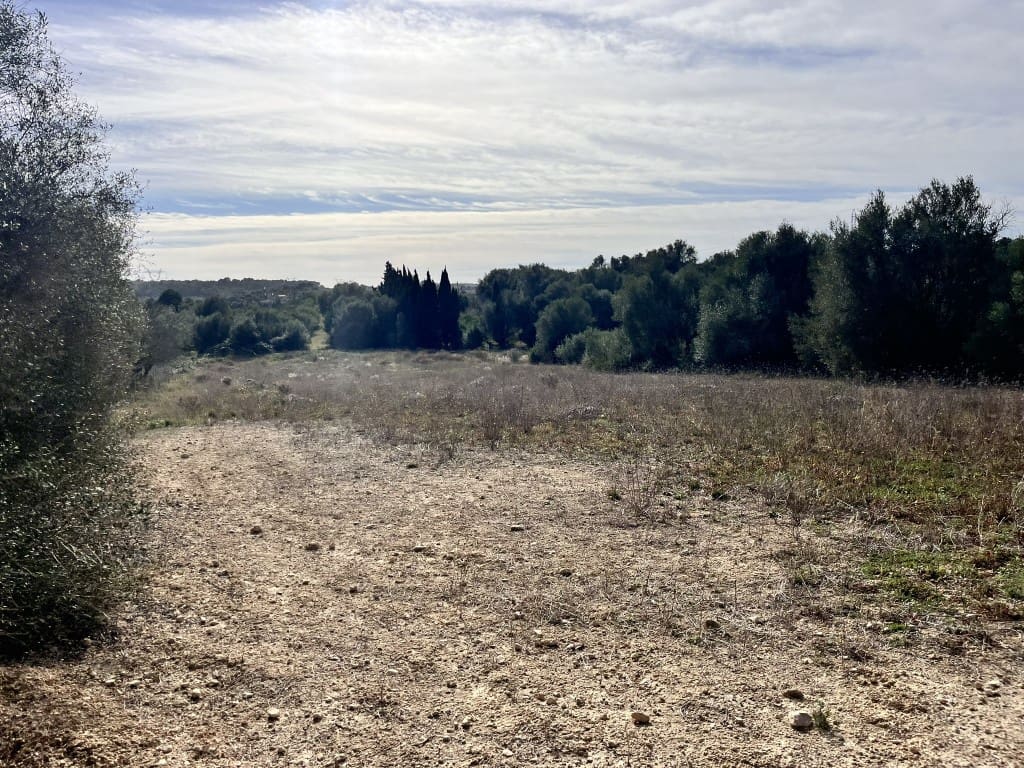 Grunde uden byggetilladelser til salg i Muro - € 279.000 (Ref: 7300128)