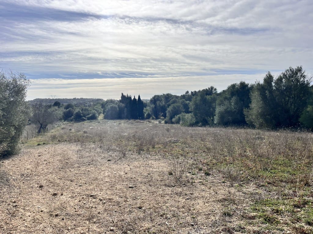 Grunde uden byggetilladelser til salg i Muro - € 279.000 (Ref: 7300128)