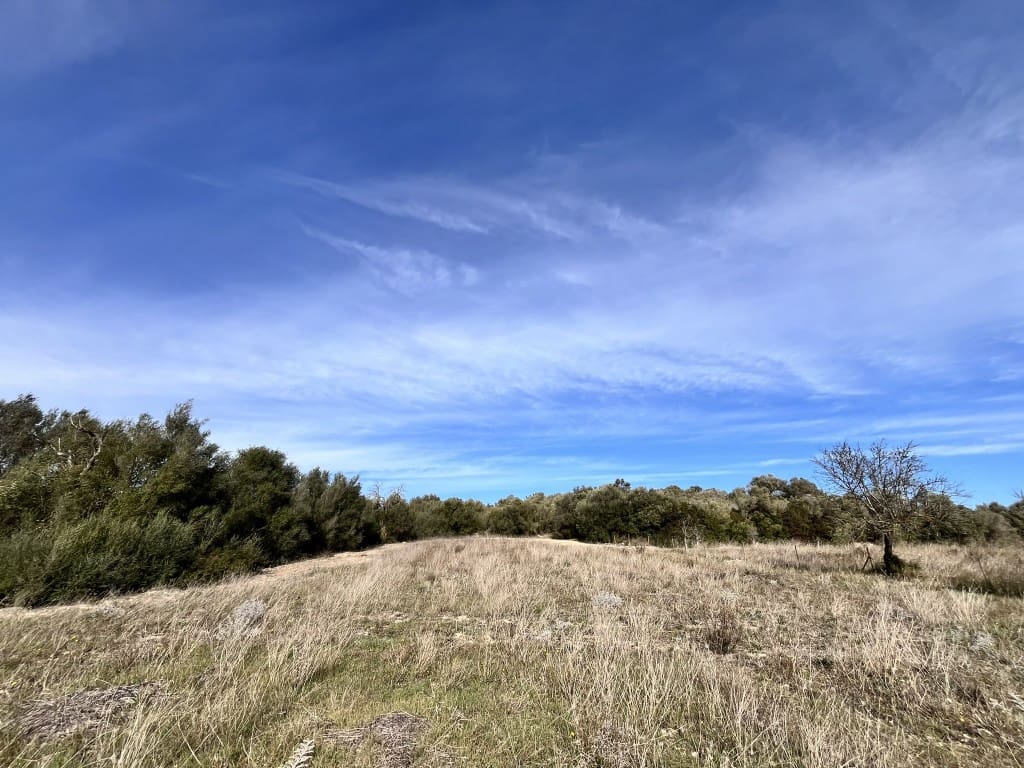 Grunde uden byggetilladelser til salg i Muro - € 279.000 (Ref: 7300128)