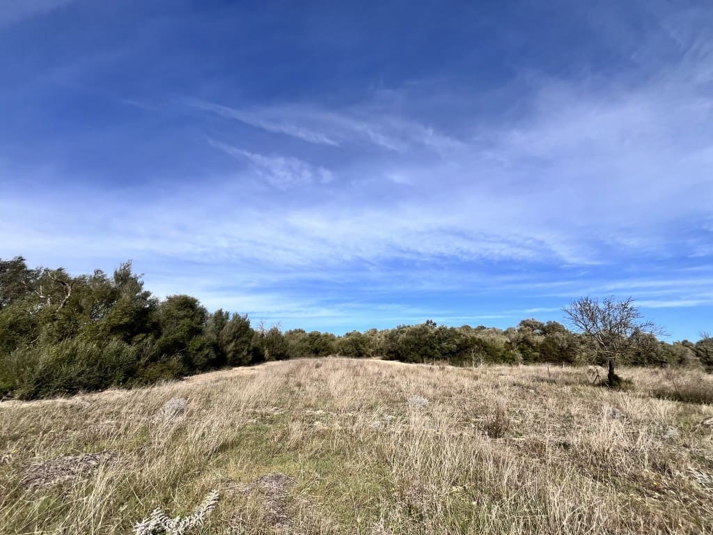 Grunde uden byggetilladelser til salg i Muro - € 279.000 (Ref: 7300128)