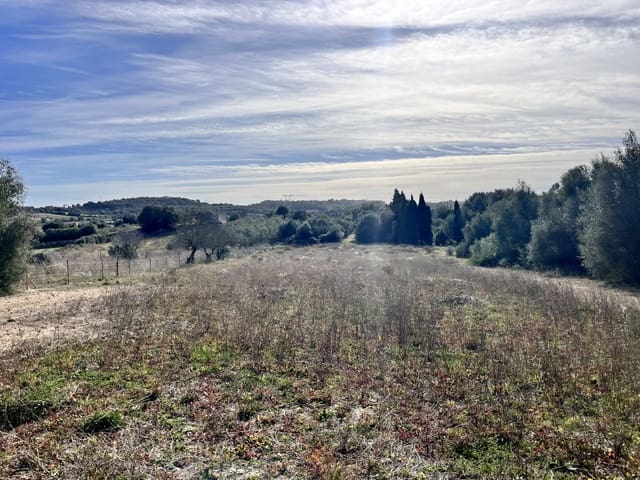 Undeveloped Land for sale in Muro - € 279,000 (Ref: 7300128)
