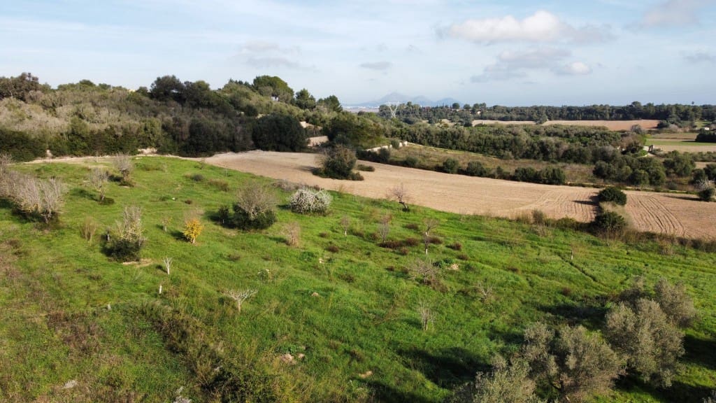 Grunde uden byggetilladelser til salg i Muro - € 279.000 (Ref: 7300128)