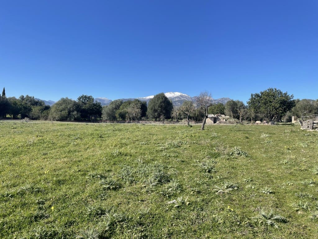 Teren niezagospodarowany na sprzedaż w Selva - 375 000 € (Ref: 7378861)