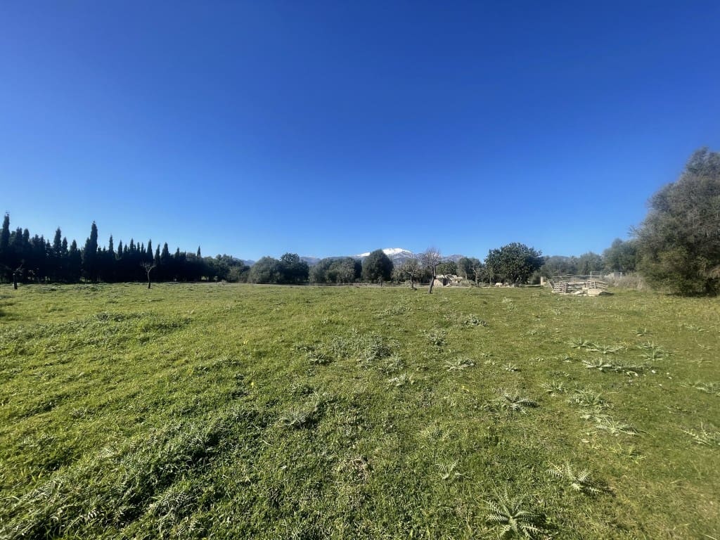 Teren niezagospodarowany na sprzedaż w Selva - 375 000 € (Ref: 7378861)