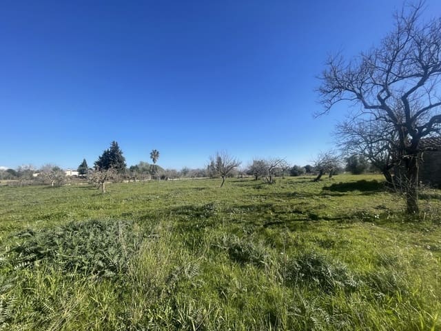 Mark till salu i Selva - 375 000 € (Ref: 7378861)