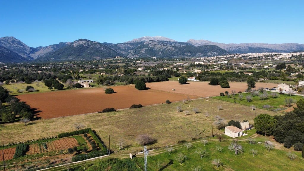 Teren niezagospodarowany na sprzedaż w Selva - 375 000 € (Ref: 7378861)