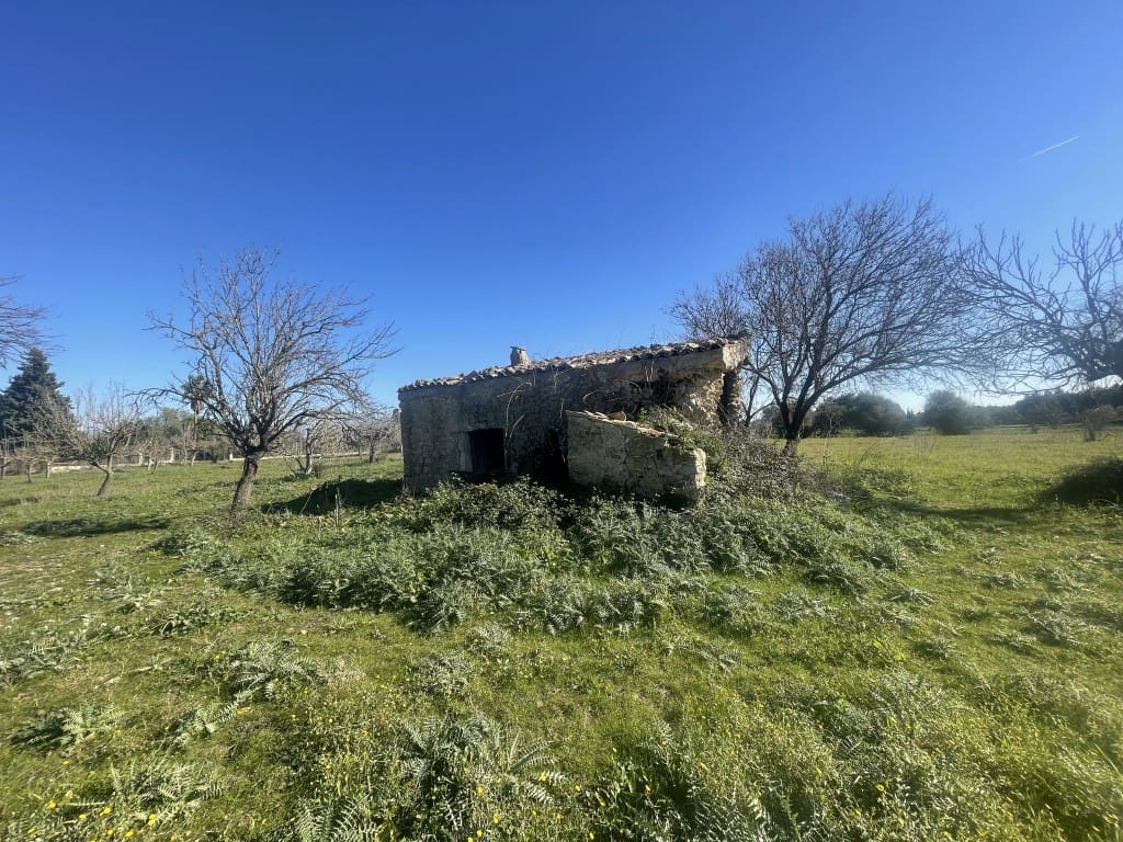 Teren niezagospodarowany na sprzedaż w Selva - 375 000 € (Ref: 7378861)