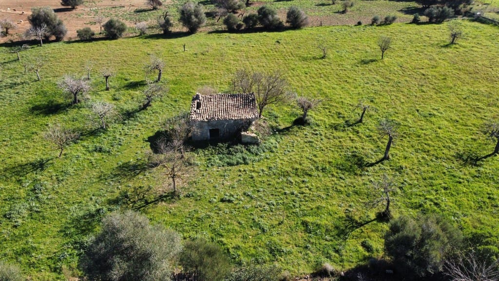 Teren niezagospodarowany na sprzedaż w Selva - 375 000 € (Ref: 7378861)