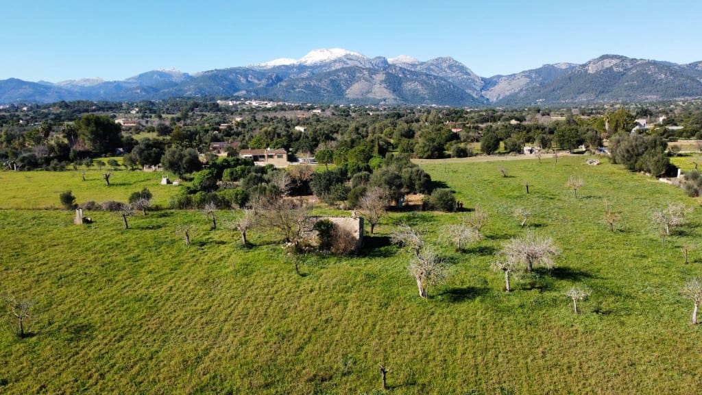 Teren niezagospodarowany na sprzedaż w Selva - 375 000 € (Ref: 7378861)