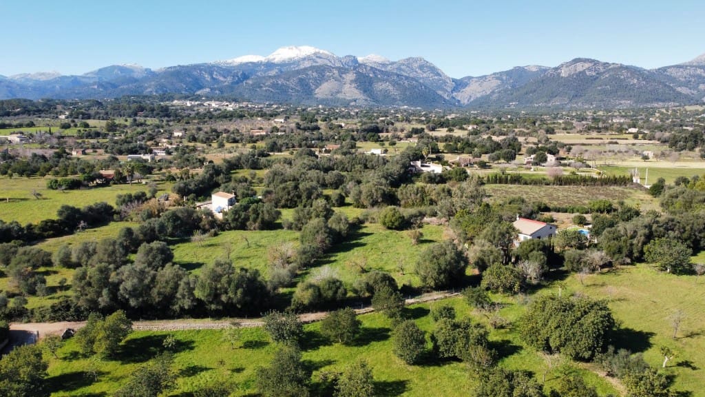 Teren niezagospodarowany na sprzedaż w Selva - 375 000 € (Ref: 7378861)