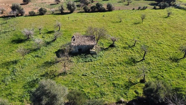 Mark till salu i Selva - 375 000 € (Ref: 7378861)