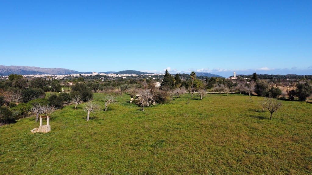 Teren niezagospodarowany na sprzedaż w Selva - 375 000 € (Ref: 7378861)